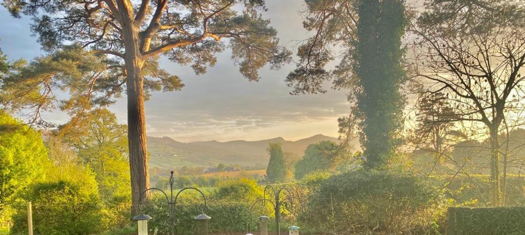 Mountain Suite, Stunning Views, Brecon Beacons Llanhamlach 外观 照片